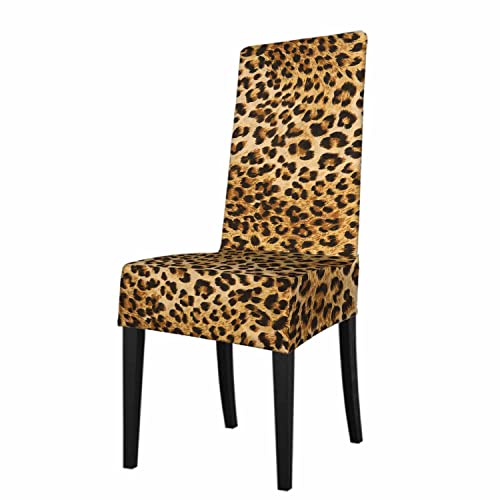 Numland 1 Pack Leopard Wild Animal Pattern Dining Room Chair Covers Cheetah Skin Jaguar Spotted Brown Dots Short Stretchable Polyester Removable Washable for home Restaurant Banquet