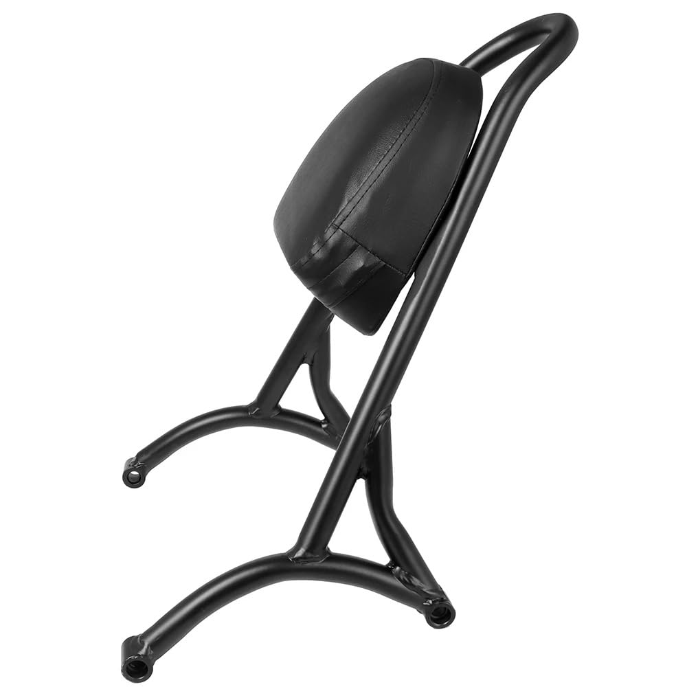 Accessoires Moto Pour Harley Pour Sportster XL 883 1200 2004-2019 Dossier De Passager Arrière De Moto Avec Coussin Porte-Bagages (Color