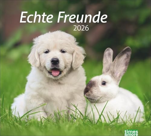 times&more Echte Freunde Bildkalender 2026: Süße Tierfreundschaften in einem Kalender. Hochwertiger Fotokalender für Tierfreunde. times&more Wandkalender im Querformat. (times&more Kalender Heye)