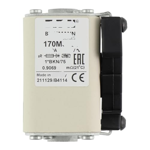 Fusible 170M3929 à extrémité plate pour intégration propre