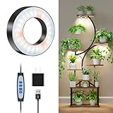 Wiaxulay Pflanzenlampe LED Vollspektrum, 48 LEDs Wachstumslampen für Pflanzen, 6500K Pflanzenlicht für Zimmerpflanzen, Kleine Grow Lampe mit 6/12/16 Stunden, 3 Beleuchtungsmodi, ein Kopf (3,5 Zoll)