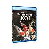 Informationen rund um die Themen Gesundheit und Pflege der wertvollen Koi