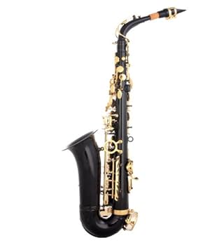 E♭ソプラノコルネット LAFLEUR imported by B&H Amazon.com: Glory Black/Gold B Flat Tenor Saxophone with