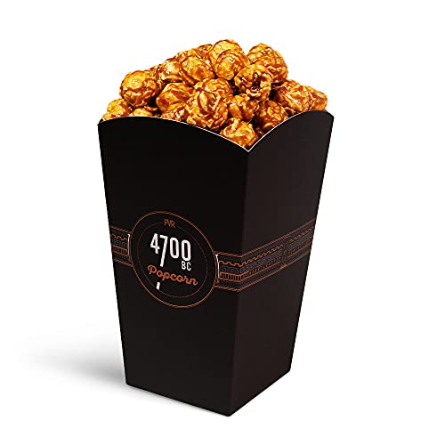 Image of 4700BC Gourmet popcorn, Himalayan Salt Caramel, Pouch, 240g (Pack of 4) with Classic Edition Popcorn Tubs
