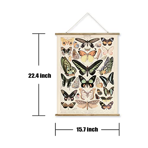 2 Pack Vintage Butterfly Poster Hanger Frame, Retro Style Wall Decor Art Painting, Patterns Are Printed On Canvas Without Fading, Living Room Office Classroom Bedroom Apartment Decor,Educational Chart #TOP1