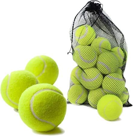 EPISENT Tennis Balls with Mesh Carrying Bag, Pack of 24 Pressure less, Ideal for Sports, Practice, Pet Play, Dog Training, Throwing Machine and All Court Types