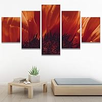 SIGNWIN 5 Panel Canvas Wall Art Botanical Chic Closeup Expressive Multicolor Photography Realism Ultra for Home Decorations Ready to Hang - 60