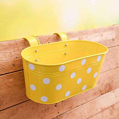 Leafy Tales Muticolor Metal Rust-Free Hanging Planter - Set of 5 (Oval - Red, Green, Yellow, Pink, Purple), 30 cm x 15 cm x 14 cm