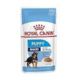 ROYAL CANIN Comida húmeda Puppy Maxi Trozos de Carne en Salsa para Cachorros de Razas Grandes - Caja 10 x 140 gr (Bolsitas)