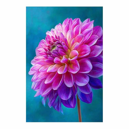 Tableau Toile Dahlias Rose 70x100cm : Affiche Décoration Murale pour Cuisine et Bureau