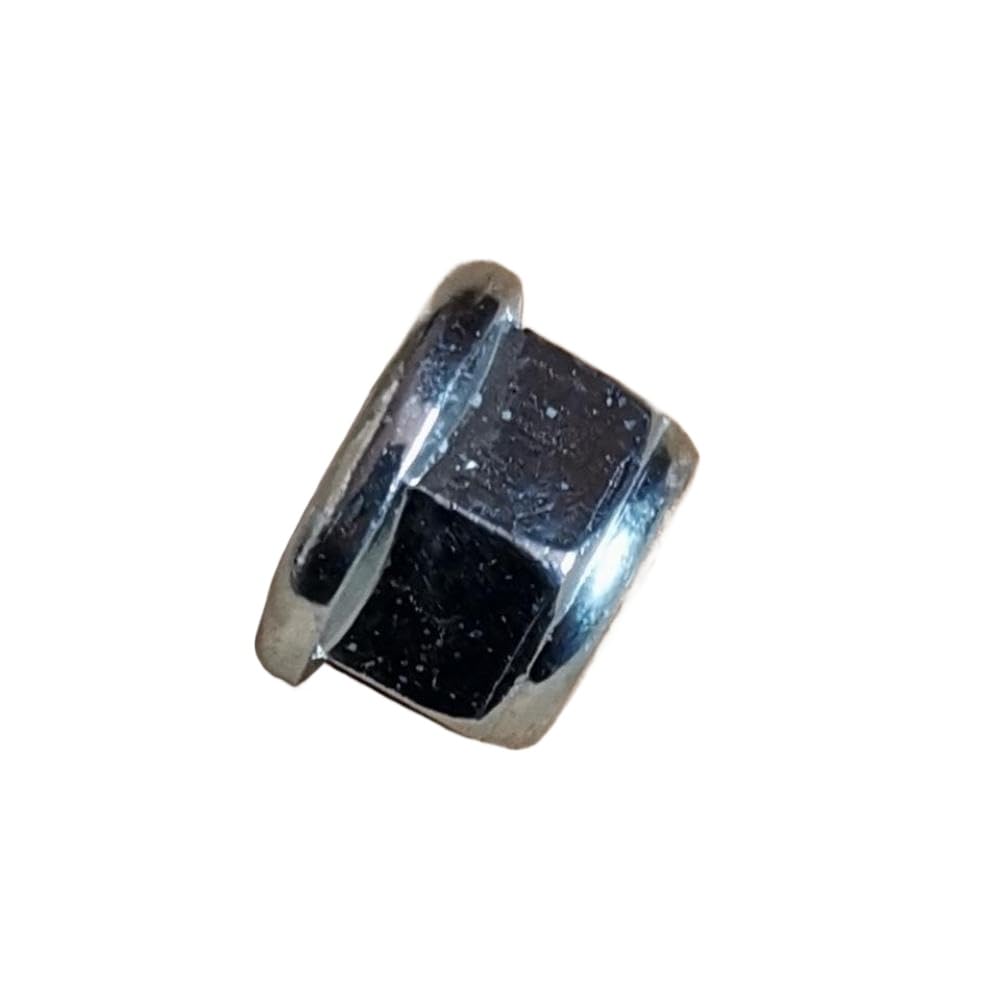 10 Pieces Collar Nut 10 X 1 Mm Left Hand Compatible with Automotive Motorcycle Parts FS 36 40 44 80 75 83 85 90 100 120 4126 642 7600