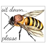 Autocollant pour toilettes à faire soi-même : utilisation simple et pratique, taille adaptée à types de murs et de toilettes, usage multiple