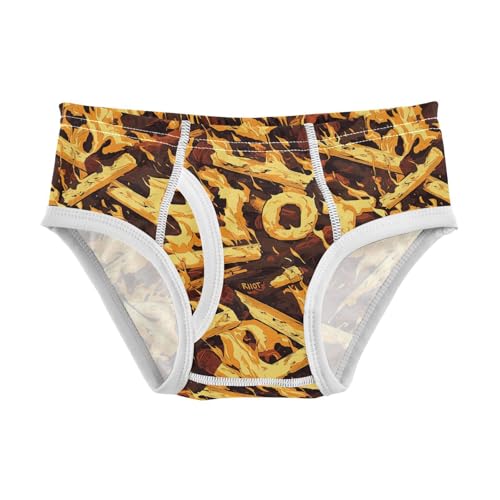visesunny Boys Potty Training Underwear Burning Match Alphabet Breathe Cotton Briefs Size 2T-8Y for Toddler