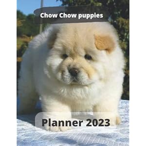 Chow Chow Puppies Planner 2023