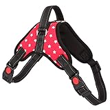 Mascotas fáciles de manejar. FHJZXDGHNXFGH-ES Mascotas universales Arnés para Perros Entrenamiento Fuerte para Mascotas Caminata para el arnés para Mascotas Chalecos con Correa para Perros Arnés Accesorios para Mascotas