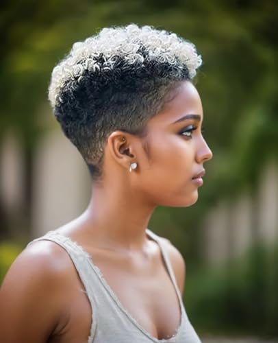 BeiSDWig Ombre Light Gray Hair with Darkroots Natural Black and Light Gray 2 Tones Hair Synthetic Short Curly Wigs for Black Women Afro Kinky Curly Wigs for Women