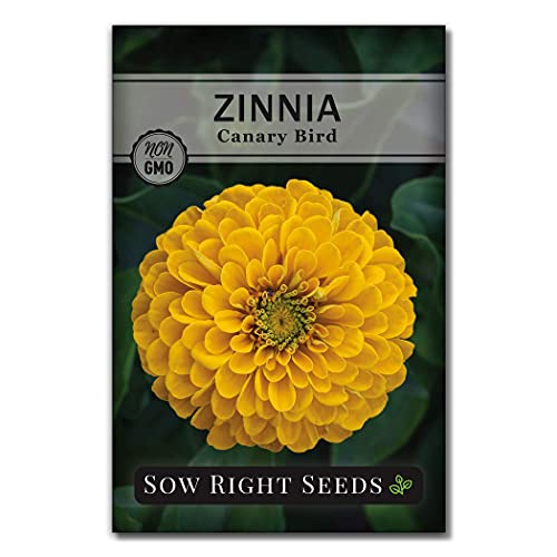 Sow Right Seeds - Zinnia Flower Seeds Collection - Five Packets - Luminosa, Canary Bird, California Giants, Envy, And Thumbelina - Full Instructions For Planting - Wonderful Gardening Gifts #TOP5