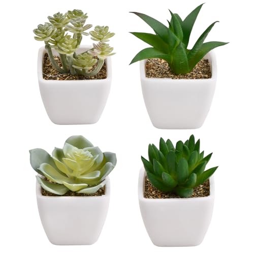 Ehuihuan Piantine Finte Decorative con Vasetto, Piante Grasse Finte che