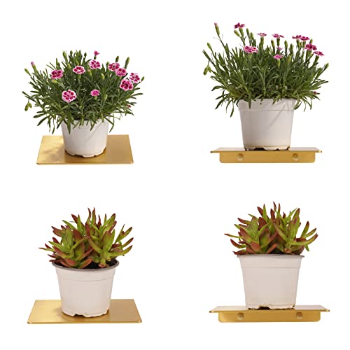Veefos Small Gold Floating Shelves For Wall Decor 7.7 Inch, 2 Sets Bathroom Shelves Organizer Wall Mount, Sturdy Metal Wall Shelf For Plants Cell Phone Speakers Cameras Living Room Office #TOP7