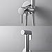 Handheld Bidet Sprayer for Toilet, Baby Cloth Diaper Sprayer Hot and Cold Water Toilet Sprayer Wall Mounted Brass Handheld Sprayer Kit for Personal Hygiene Cleaning,Chrome (Color : Chrome)