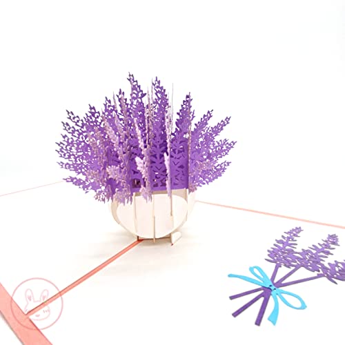 Kurimi 3D|bvAbvJ[h aJ[h O[eBOJ[h o[Xf[J[h яoJ[h bZ[WJ[h o^C 莆 v[g t 킢 (x_[)