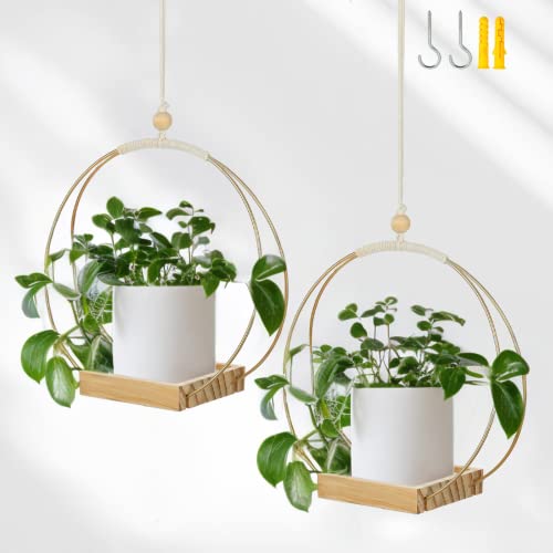 Eco Joy 2 Packs Shineloha Hanging Planters For Indoor Plant + Ceiling Hook, Indoor Hanging Planter Shelf | Plant Hangers Indoor For Succulents, Cactus, Herbs | No Plant/Pot Incld (Gold) #TOP5