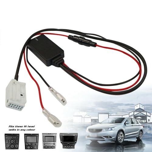 Módulo de Audio Bluetooth 2006-2010 VE Series 1 AutoSwan 10X SV6 6