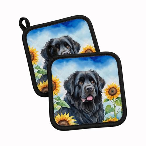 Caroline's Treasures Newfoundland in Sunflowers Pair of Pot Holders Kitchen Heat Resistant Pot Holders Sets Oven Hot Pads for Cooking Baking BBQ, 7 1/2 x 7 1/2