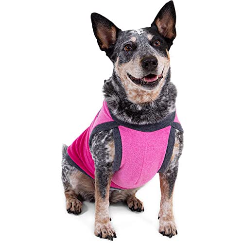 Pickorruchos Roupa Jacquard Tricolor Cinder Para Cães - Tamanho 10