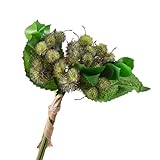 HXSCOO Castaña Artificial - Plantas Verdes realistas for Decorar Bodas y el hogar(Green)