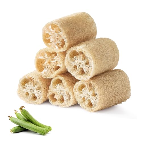 Flintronic 6 Piezas Esponjas de Luffa Naturales, Exfoliante Corporal de Lufa, Esponja Exfoliante Ducha, para Lavado de Ducha y Limpieza de Cocina, para Mujeres y Hombres