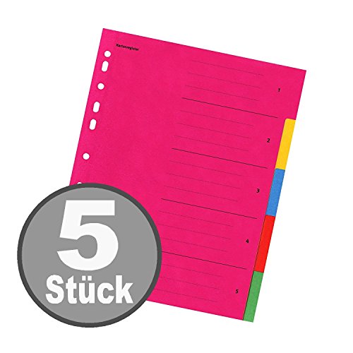 Falken Karton-Register für DIN A4 24 x 29,7 cm volle Höhe mit Organisationsdruck (5-teilig | 5er Pack)