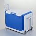 Car refrigerator-TOYM Mini Frigo - Frigorifero Compatto da 40L Contiene lattine da 58 x 330 ml |