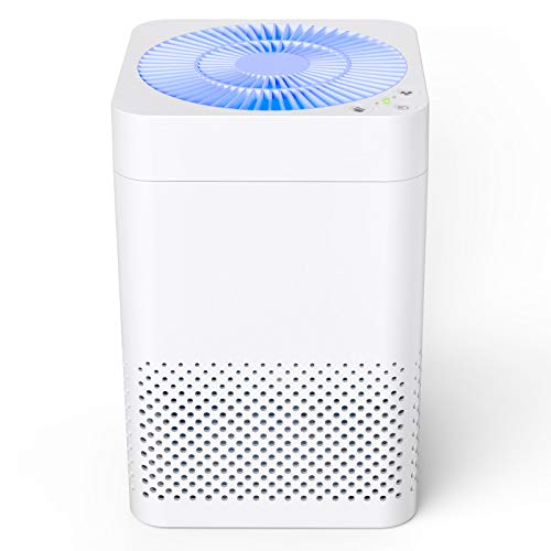 8 Best Water Based Air Purifier ReviewsGreat Choice of 2022