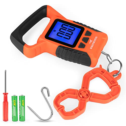 Reviews of the 10 Best Digital Fish Scale in 2023