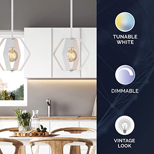Lighting Satco S11251/04 Starfish Tunable White WiFi Smart LED Light Bulb, Works with Siri, Alexa, Google Assistant, SmartThings, Clear, G25, 4 Pack Manufacturer: Satco Starfish Lighting Satco S11251/04 Starfish Tunable White WiFi Smart LED Light Bulb, Works with Siri, Alexa, Google Assistant, SmartThings, Clear, G25, 4 Pack Manufacturer: Satco Starfish