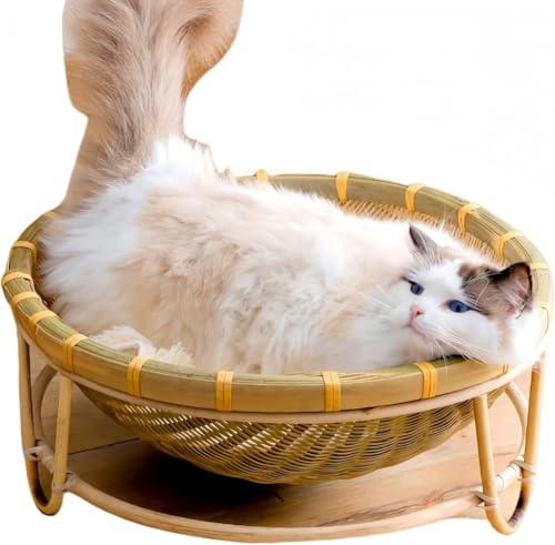 CokBlu �|�҂݃y�b�g�x�b�h ������҂� �V�R�f�� �ʋC�������� ����\�h�� ���^���E�L�p �ėp�L���b�g�n�E�X �l�G�Ή� �y�b�g�̉��K�x�e�� (���a50cm,�o���u�[)