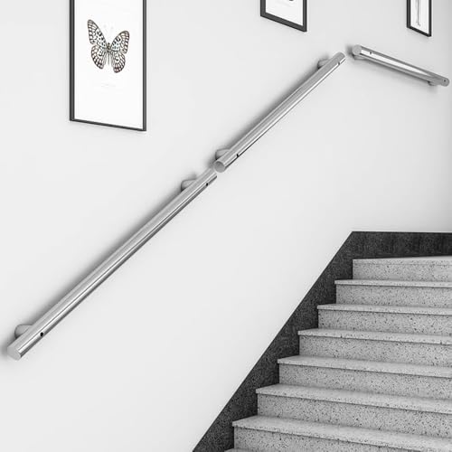 HongzyFirm ステンレス製の階段手すり、高齢者用、屋内、家庭用、壁掛け、幼稚園、子供用廊下、ミニマリスト、屋外用ガードレール (シルバー,50cm)