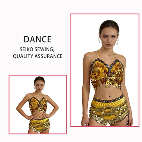Tenue de danse du ventre avec écharpe et soutien-gorge pailleté - 5