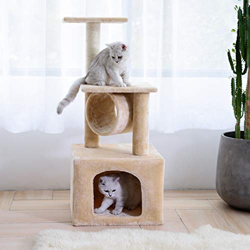 https://m.media-amazon.com/images/I/41ecSnEqmsL._SL500_.jpg