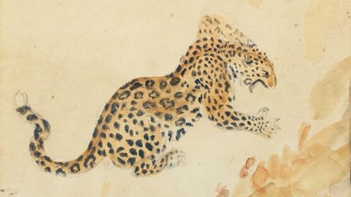 pantera comum Podcast Por  arte de portada