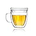 DeFancy Double Wall Coffee Mug 17 oz Insulated Borosilicate Glass Coffee Cup with Handle and Lid