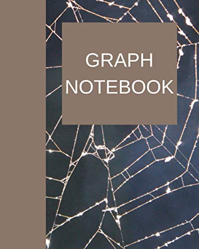 GRAPH NOTEBOOK: mathematics home school essentials image 2