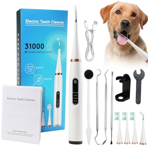 Zahnsteinentferner Hund - Die 16 besten Produkte im Vergleich