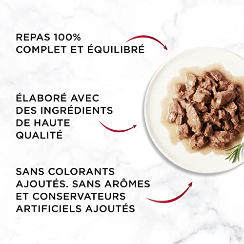 Gourmet MON Petit Intense | Katze | Diskrete in Soße | Thunfisch, Lachs, Forelle | 8 Stück à 6 x 50 g | Frischebeutel