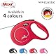 flexi® Classic M Gurt 5 m rot, Roll-Leine für Hunde bis 20 kg