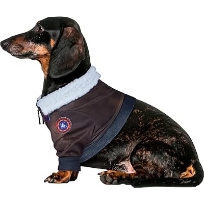 Top Gun: Maverick Pet Costume for For Dogs or Cats by Rubies, Large