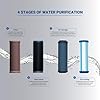 AquaguardSure Delight NXT RO+UV 6 L Storage Water Purifier, 4 Stage ...