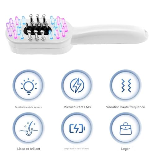 Brosse à cheveux lumière rouge peigne électrique rechargeable pour femme et mère