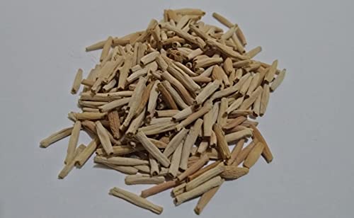 10 Sementes de Rosas do Deserto triplas, duplas e simples (Adenium obesum) Sortidas Kit nº 3